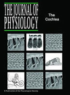 The Journal of Physiology Cover