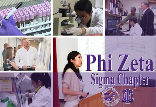 Student & faculty participants in research & Phi Zeta